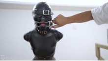 新しい女! 小さくてかわいい人型犬
